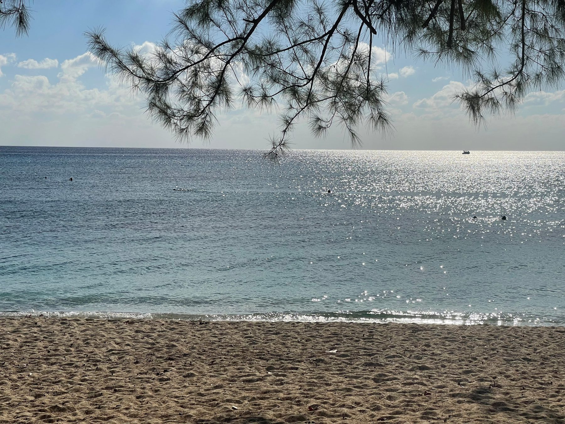 A quiet cove in the Cayman Islands