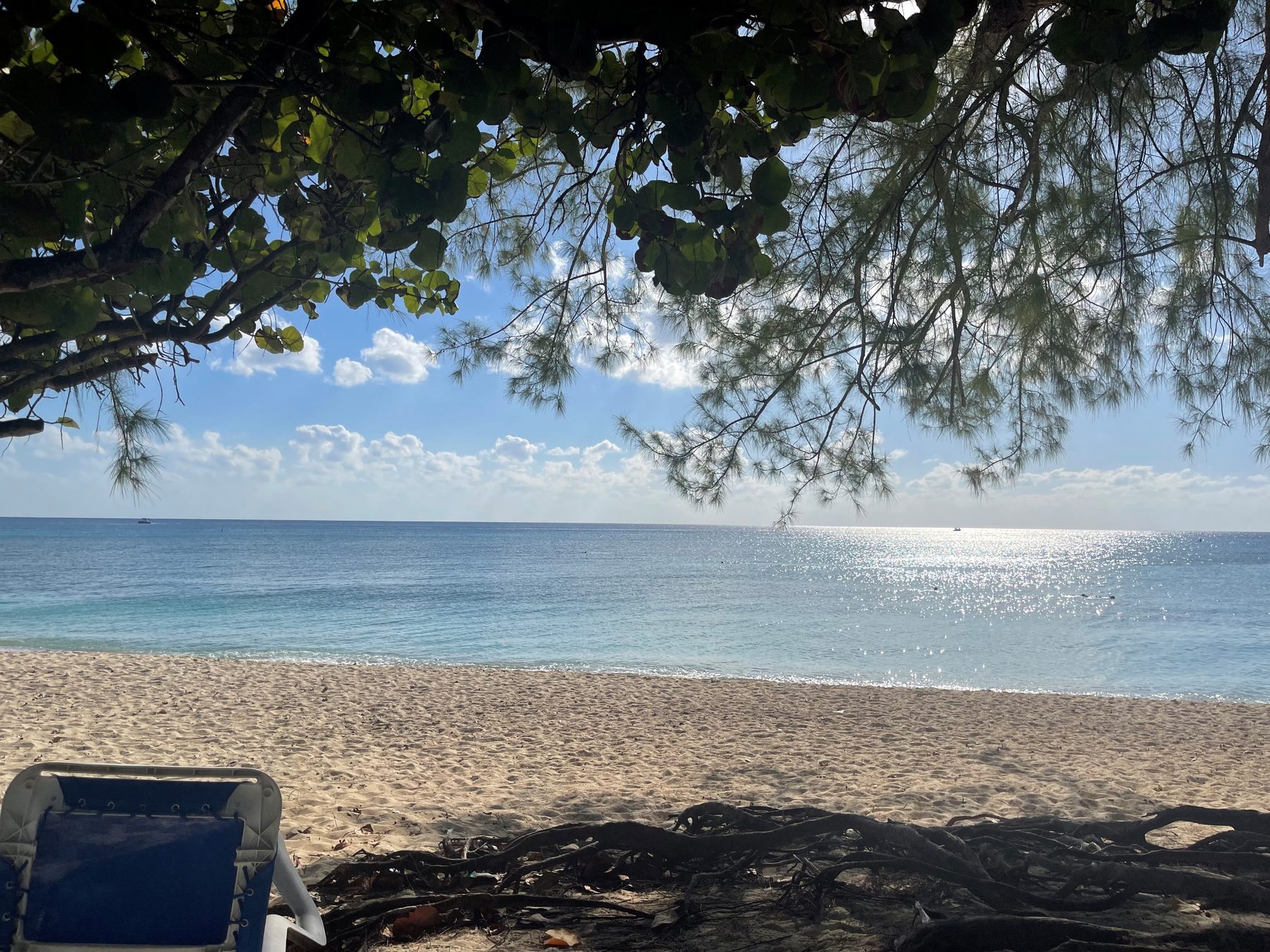 Shoreline in the Cayman Islands